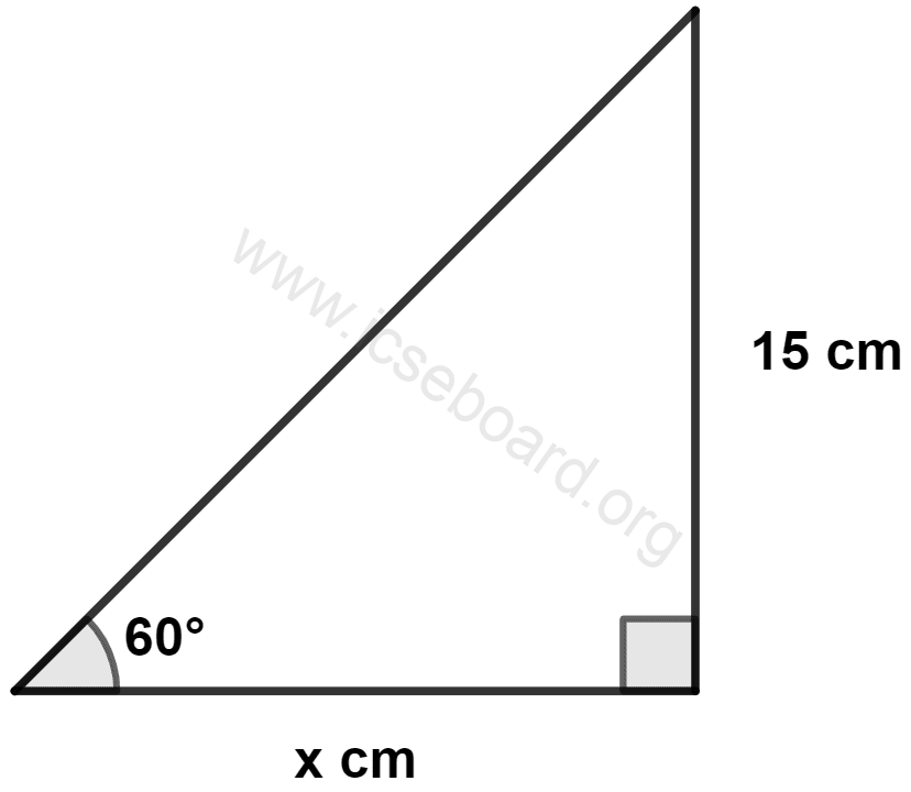The measure of x is : Heights and Distances, Concise Mathematics Solutions ICSE Class 10.