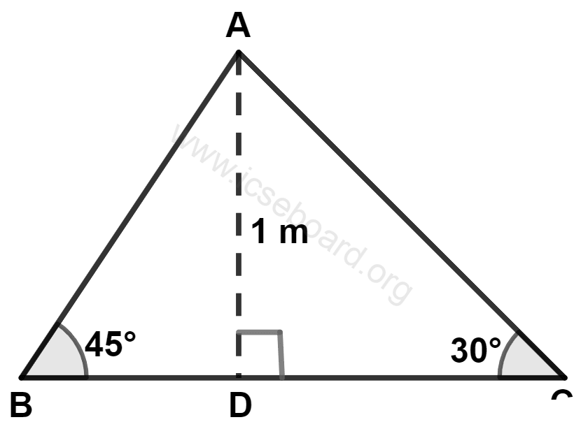 According to the information given in the following figure, the length of BC is : Heights and Distances, Concise Mathematics Solutions ICSE Class 10.