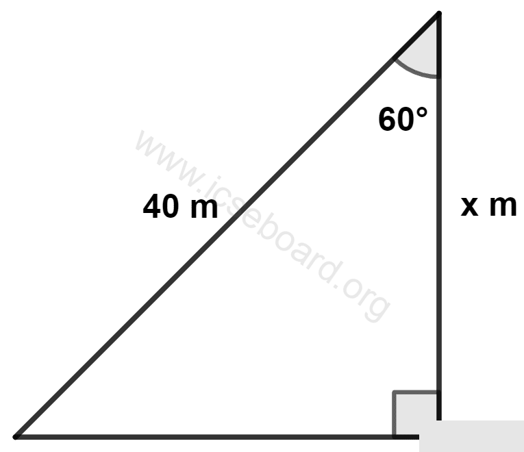 The value of x is : Heights and Distances, Concise Mathematics Solutions ICSE Class 10.