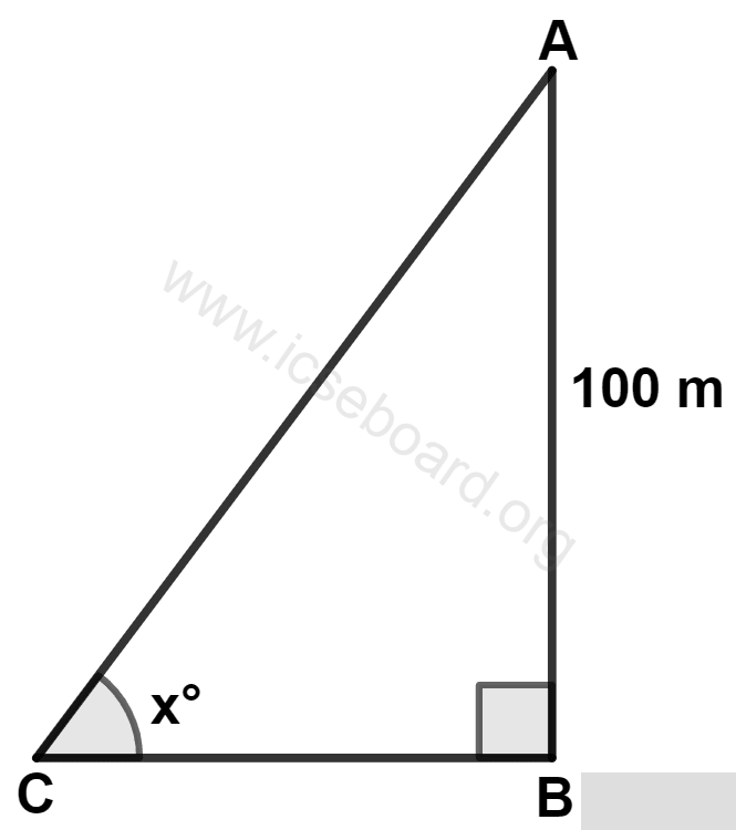 If tan x° = 5/2, the length of CB is : Heights and Distances, Concise Mathematics Solutions ICSE Class 10.