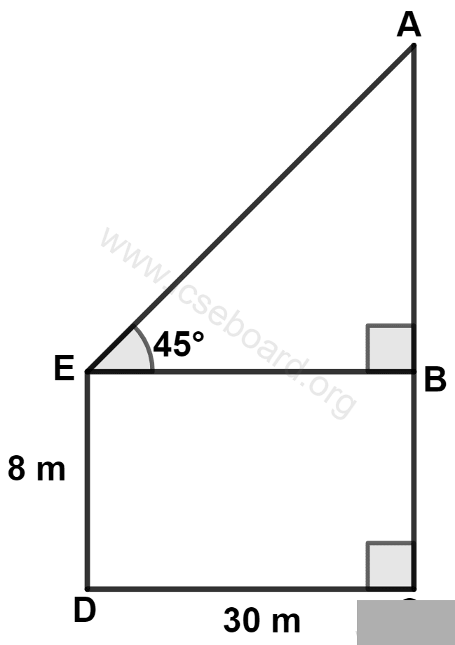 The length of AC is : Heights and Distances, Concise Mathematics Solutions ICSE Class 10.