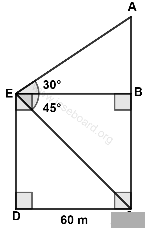 The length of AC is : Heights and Distances, Concise Mathematics Solutions ICSE Class 10.