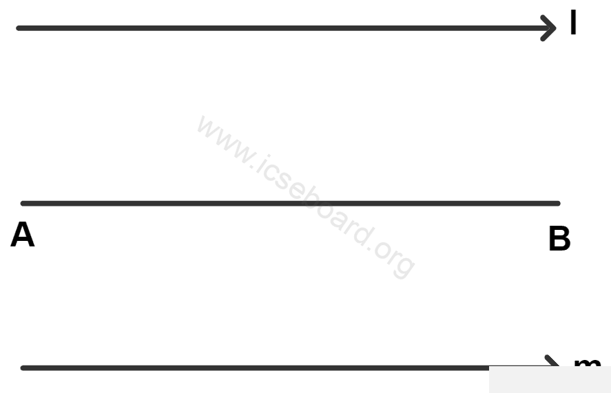 AB is a line segment and P is a moving point that moves in such a way that it is always equidistant from AB. The locus of point P is the line which : Loci, Concise Mathematics Solutions ICSE Class 10.