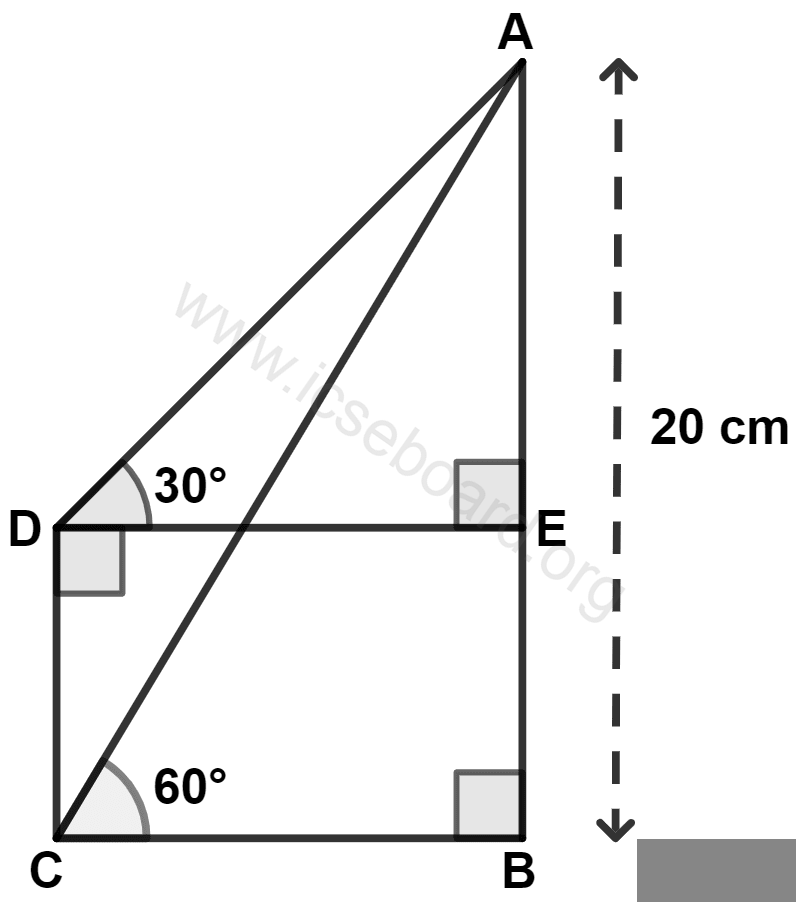 Using the information given in the following figure, the measurement of AE is : Heights and Distances, Concise Mathematics Solutions ICSE Class 10.