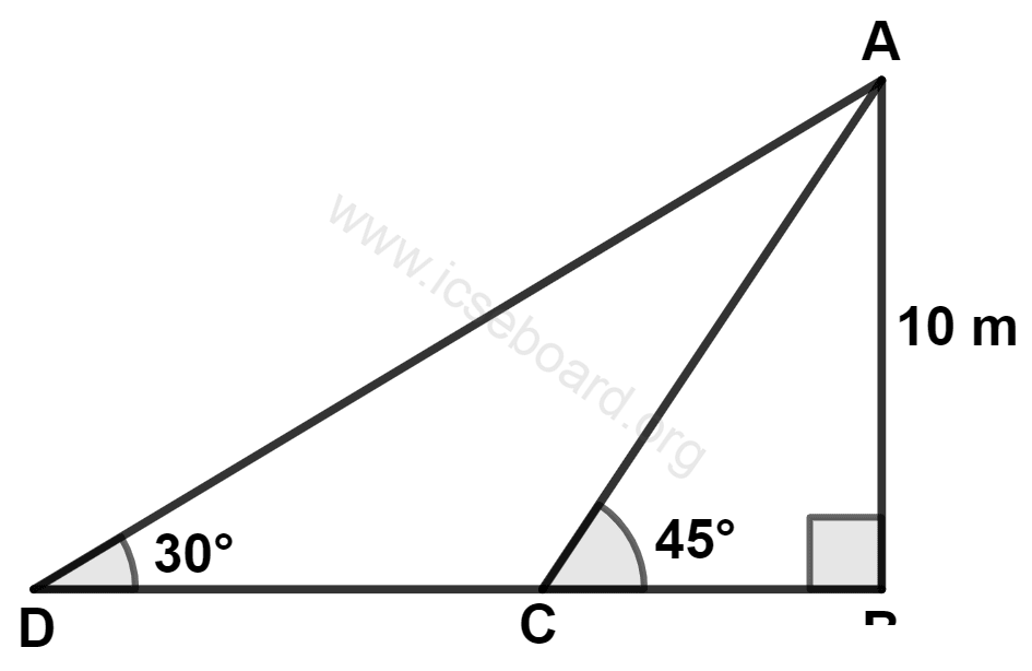 The length of DC is : Heights and Distances, Concise Mathematics Solutions ICSE Class 10.