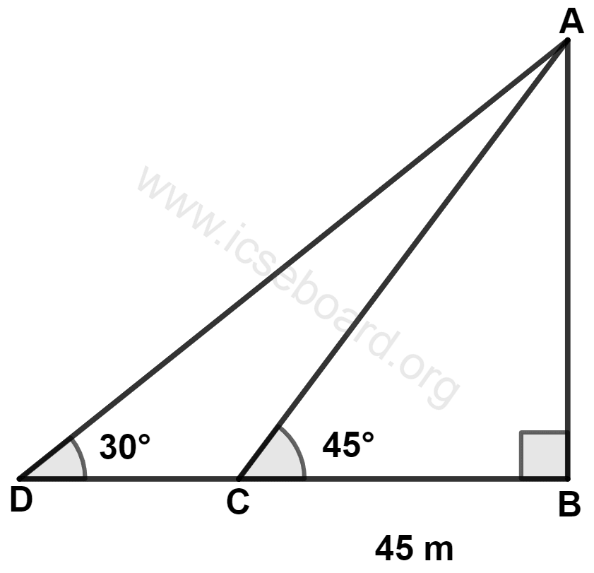 The length of DC is : Heights and Distances, Concise Mathematics Solutions ICSE Class 10.