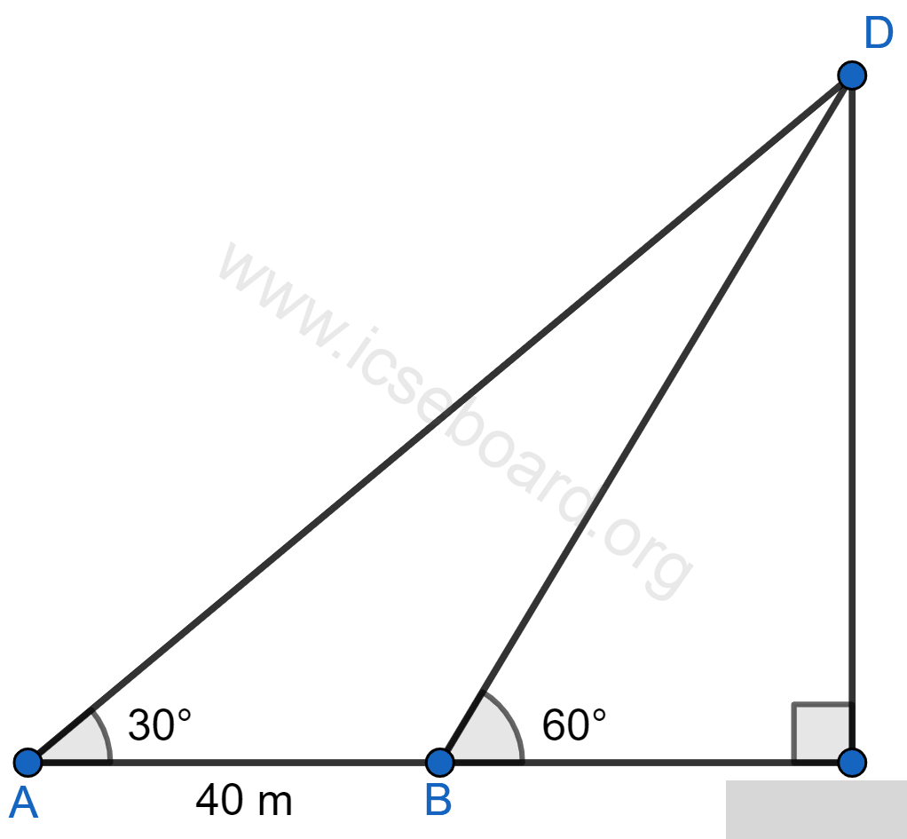 A person standing on the bank of a river observes that the angle of elevation of the top of a tree standing on the opposite bank is 60°. When he moves 40 m away from the bank, he finds the angle of elevation to be 30°. Find : (i) the height of the tree, correct to 2 decimal places. (ii) the width of the river. Heights and Distances, Concise Mathematics Solutions ICSE Class 10.