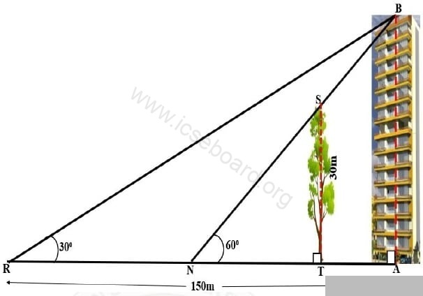 A tree (TS) of height 30 m stands in front of a tall building (AB). Two friends Rohit and Neha are standing at R and N respectively, along the same straight line joining the tree and the building (as shown in the diagram). Rohit, standing at a distance of 150 m from the foot of the building, observes the angle of elevation of the top of the building as 30°. Neha from her position observes that the top of the building and the tree has the same elevation of 60°. Maths Competency Focused Practice Questions Class 10 Solutions.