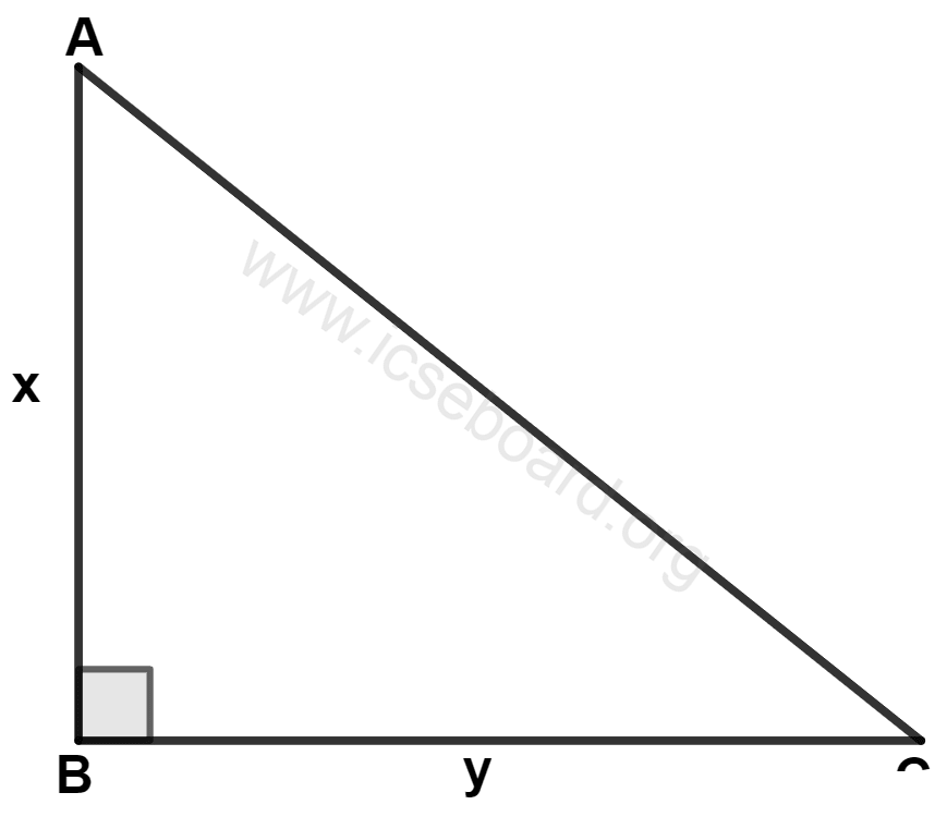 ICSE Maths Solved Competency Focused Questions Solutions Class 10 Chapter 1 Multiple-Choice Questions 1 In the adjoining diagram, AB = x cm, BC = y cm and x - y = 7 cm. Area of △ ABC = 30 cm2. The length of AC is : Maths Competency Focused Practice Questions Class 10 Solutions.