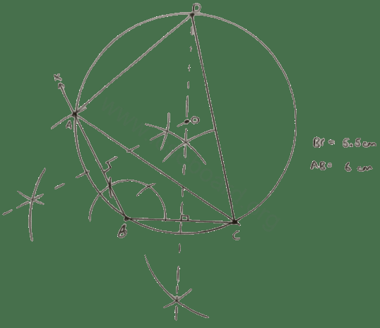 Concise Mathematics Selina Solutions Class 10 ICSE Chapter 19 Constructions (Circles) 19 Construct a triangle ABC in which base BC = 5.5 cm, AB = 6 cm and ∠ABC = 120°. (i) Construct a circle circumscribing the triangle ABC. (ii) Draw a cyclic quadrilateral ABCD so that D is equidistant from B and C. Constructions, Concise Mathematics Solutions ICSE Class 10.