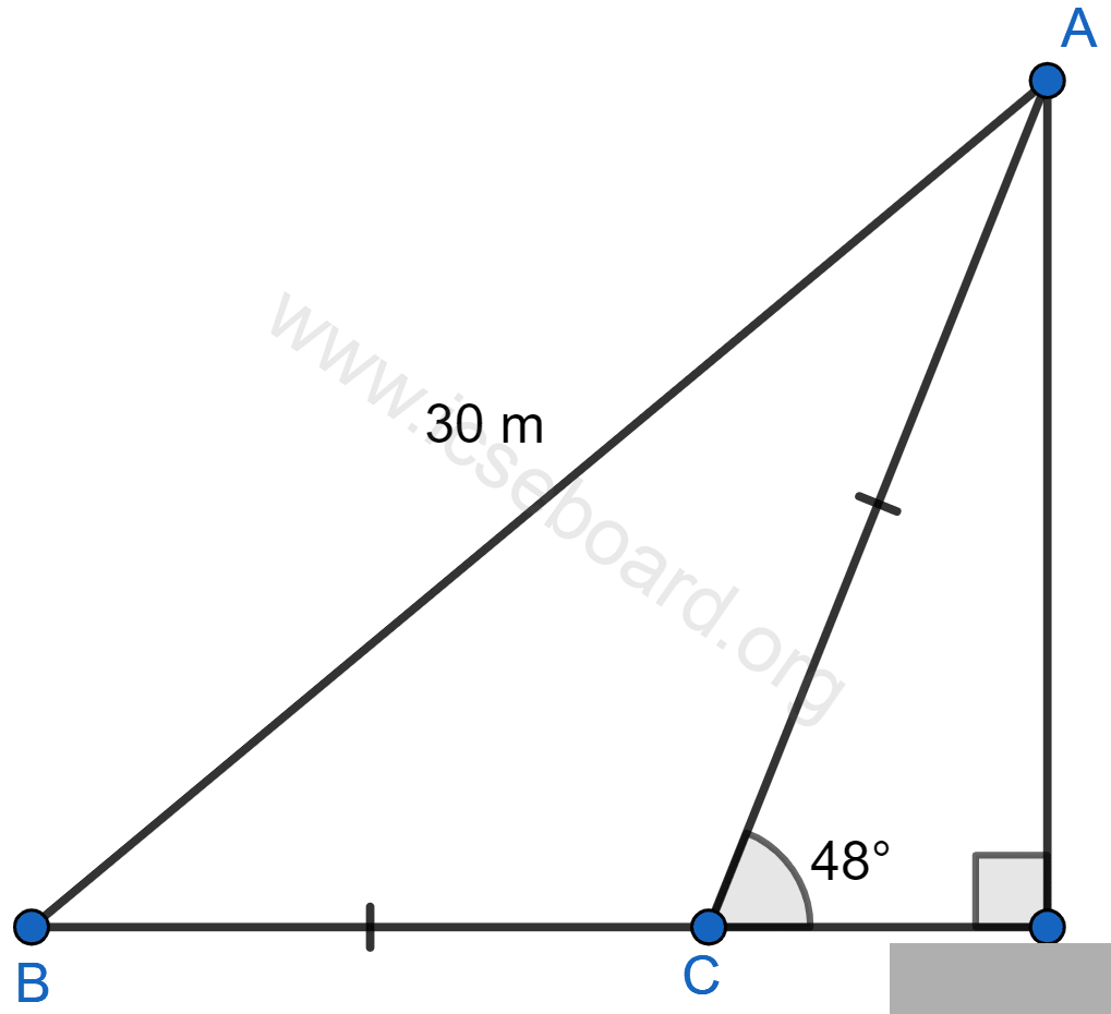 Find AD. Heights and Distances, Concise Mathematics Solutions ICSE Class 10.