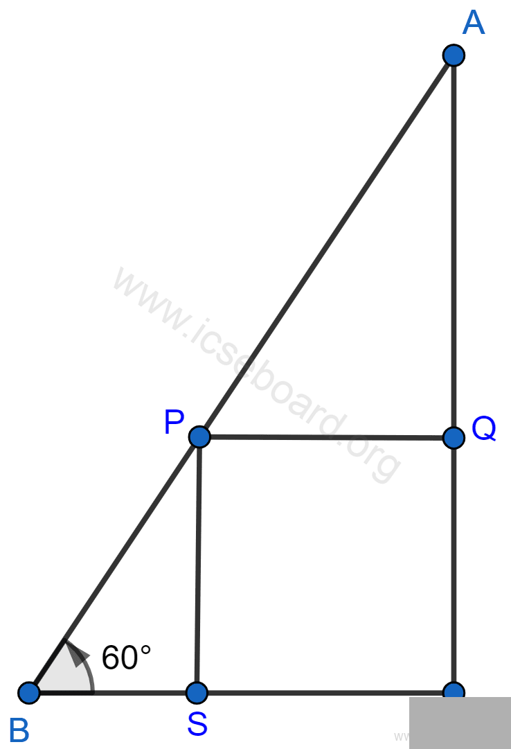 In the following diagram, AB is a floor-board; PQRS is a cubical box with each edge = 1 m and ∠B = 60°. Calculate the length of the board AB. Heights and Distances, Concise Mathematics Solutions ICSE Class 10.
