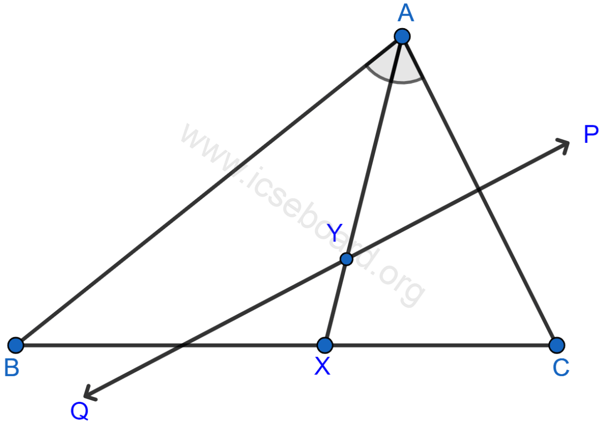 Given: AX bisects angle BAC and PQ is perpendicular bisector of AC which meets AX at point Y. Prove: (i) X is equidistant from AB and AC. (ii) Y is equidistant from A and C. Loci, Concise Mathematics Solutions ICSE Class 10.