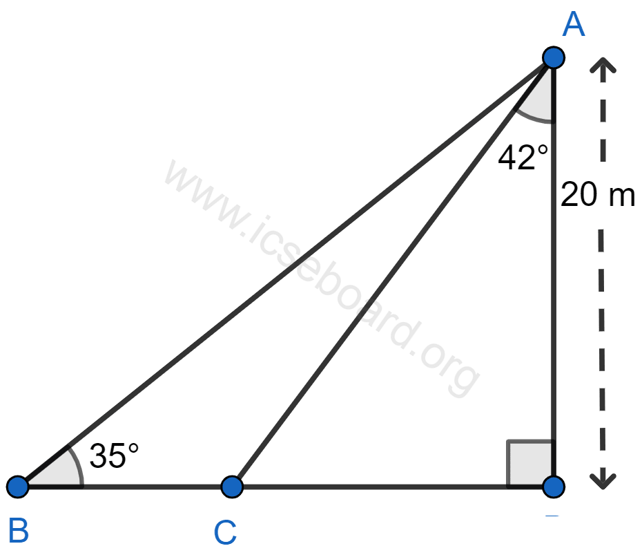 Calculate BC. Heights and Distances, Concise Mathematics Solutions ICSE Class 10.