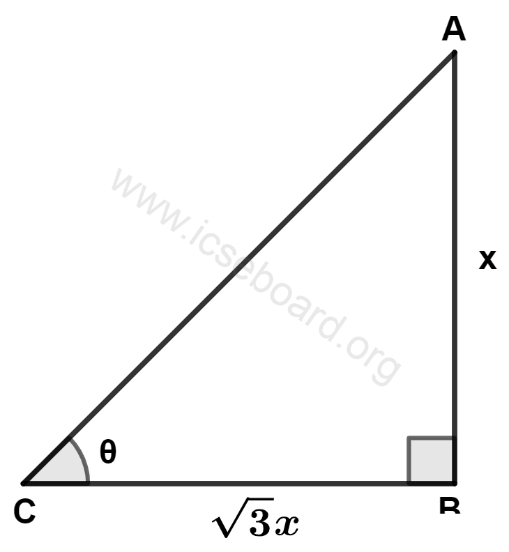 ICSE Maths Solved Competency Focused Questions Solutions Class 10 Chapter 1 Multiple-Choice Questions 14 A right-angled triangle is formed by a pole AB, its shadow BC, and the sun's ray. The angle of elevation is θ.