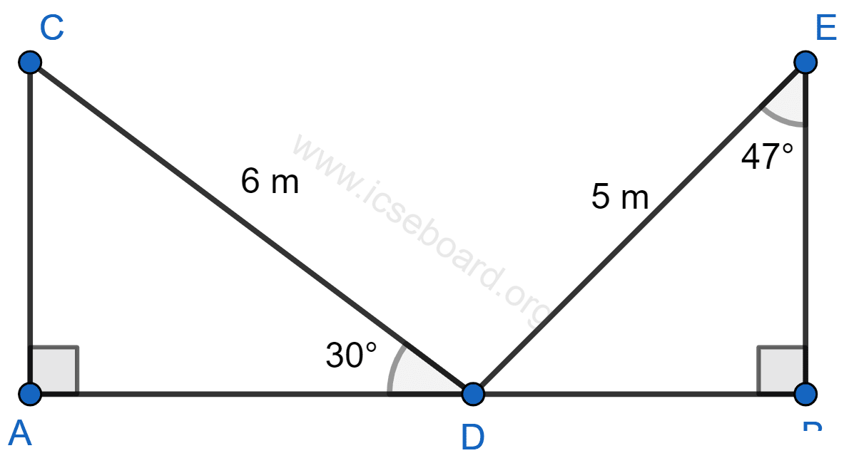 Calculate AB. Heights and Distances, Concise Mathematics Solutions ICSE Class 10.