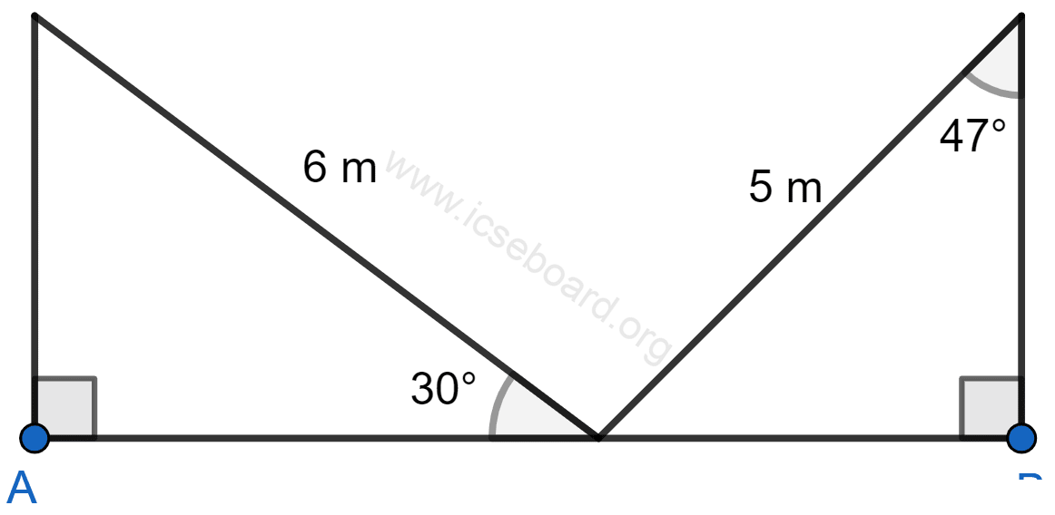 Calculate AB. Heights and Distances, Concise Mathematics Solutions ICSE Class 10.