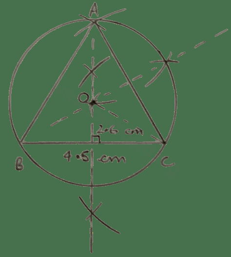 Concise Mathematics Selina Solutions Class 10 ICSE Chapter 19 Constructions (Circles) 10 Using ruler and compasses only, draw an equilateral triangle of side 4.5 cm and draw its circumscribed circle. Measure the radius of the circle. Constructions, Concise Mathematics Solutions ICSE Class 10.