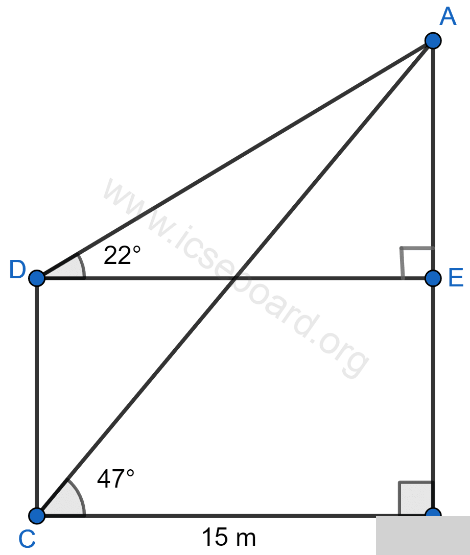 From the figure, given below, calculate the length of CD. Heights and Distances, Concise Mathematics Solutions ICSE Class 10.