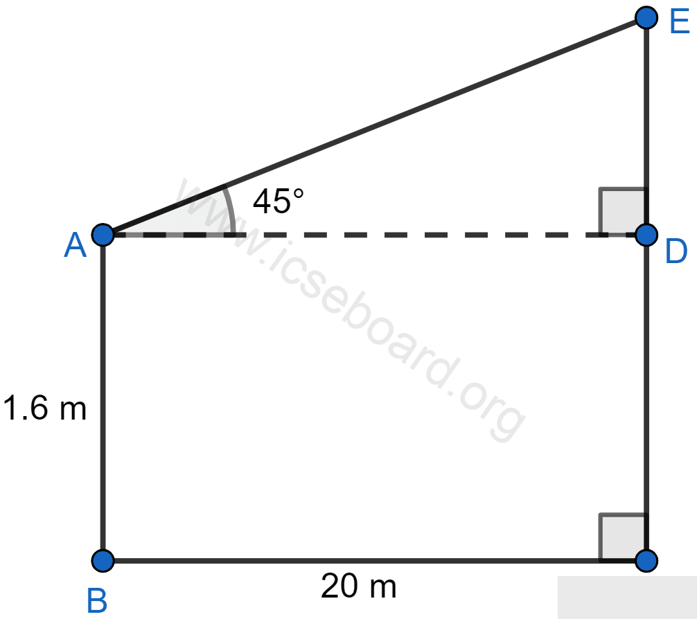 A boy, 1.6 m tall, is 20 m away from a tower and observes the angle of elevation of the top of the tower to be (i) 45° (ii) 60°. Find the height of the tower in each case. Heights and Distances, Concise Mathematics Solutions ICSE Class 10.