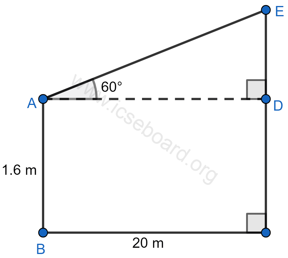 A boy, 1.6 m tall, is 20 m away from a tower and observes the angle of elevation of the top of the tower to be (i) 45° (ii) 60°. Find the height of the tower in each case. Heights and Distances, Concise Mathematics Solutions ICSE Class 10.