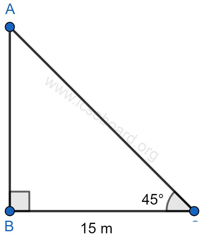 The upper part of a tree, broken over by the wind, makes an angle of 45° with the ground; and the distance from the root to the point where the top of the tree touches the ground, is 15 m. What was the height of the tree before it was broken? Heights and Distances, Concise Mathematics Solutions ICSE Class 10.